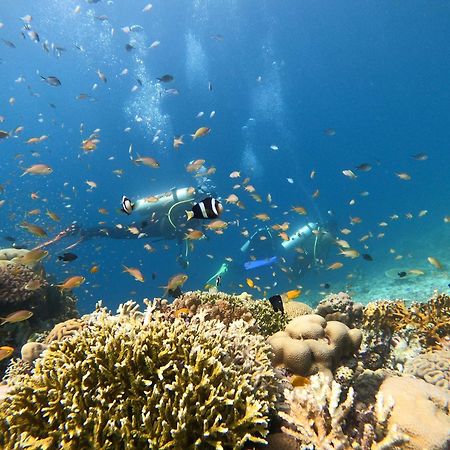La Pang Resort 라팡리조트 Panglao Eksteriør bilde