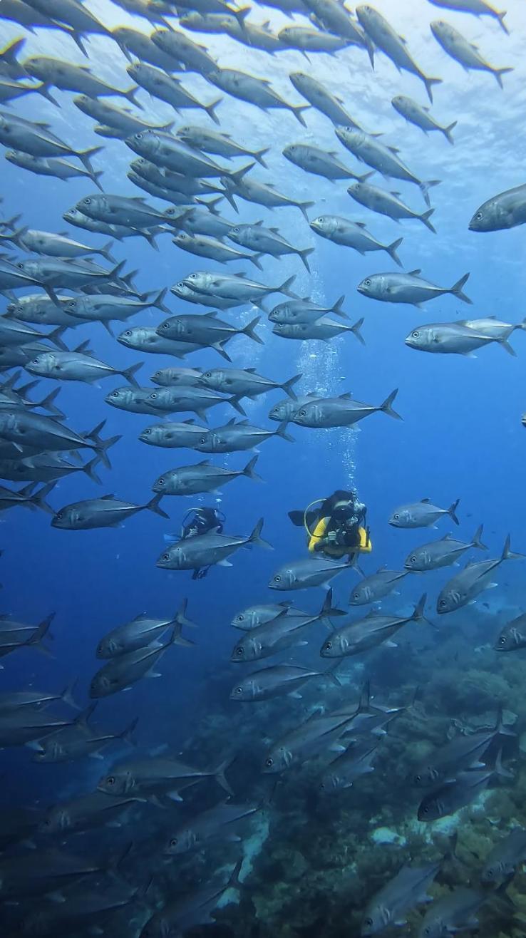 La Pang Resort 라팡리조트 Panglao Eksteriør bilde