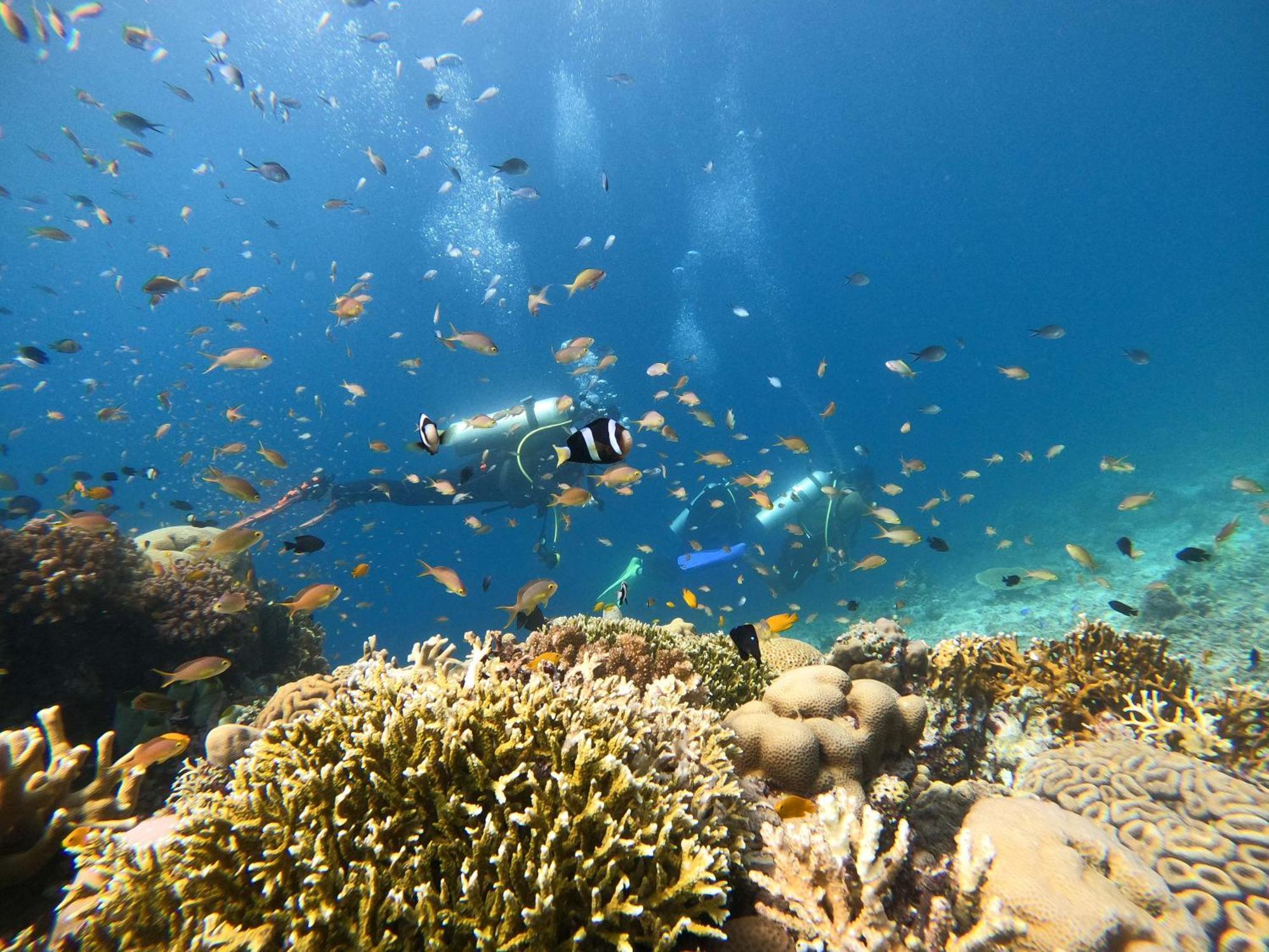 La Pang Resort 라팡리조트 Panglao Eksteriør bilde